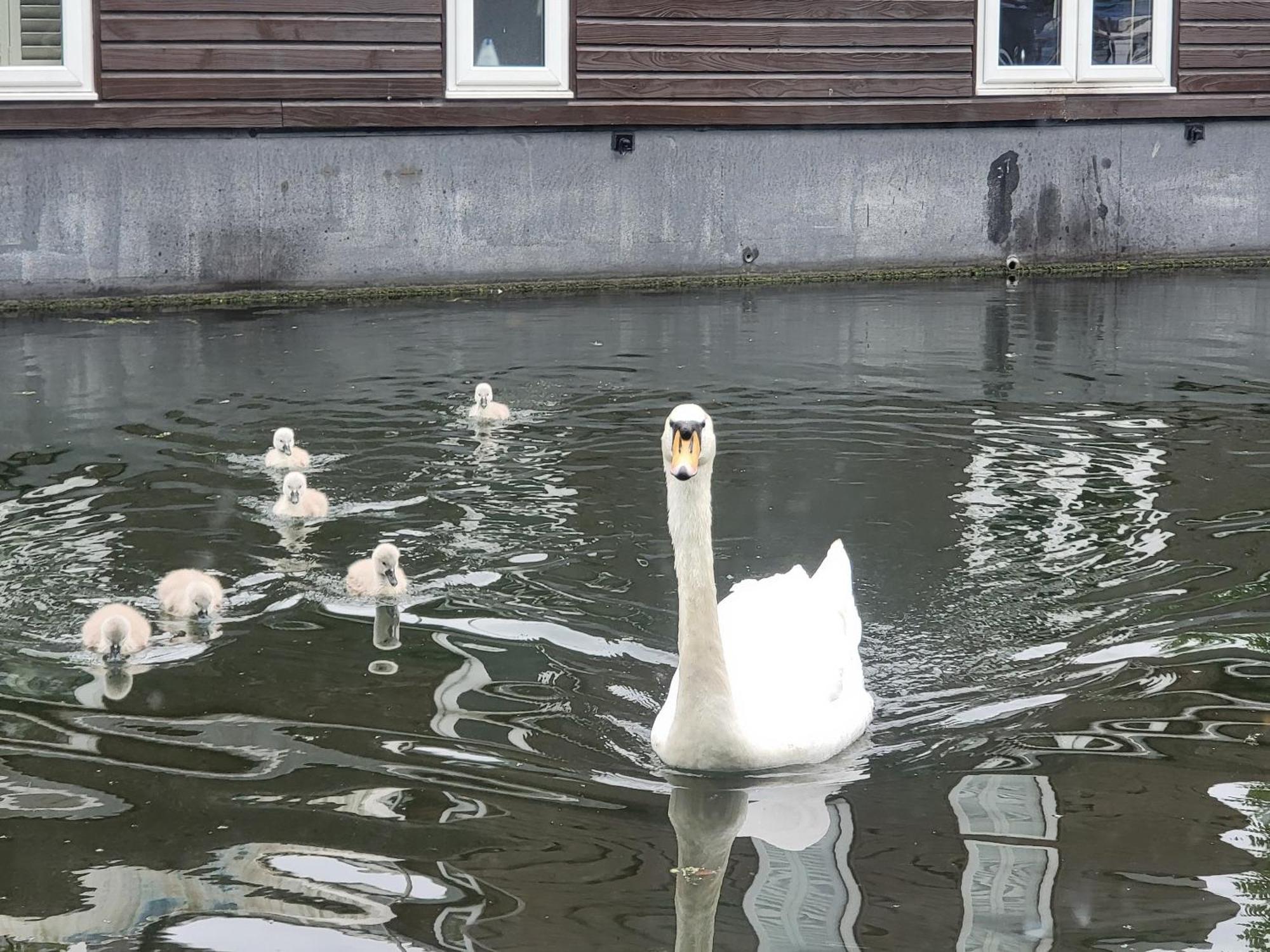 Lovely Canal Boat In Little Venice For Family & Friends Londra Esterno foto